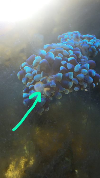 8041AD9E-7422-48C9-AB59-F991099F5609.png