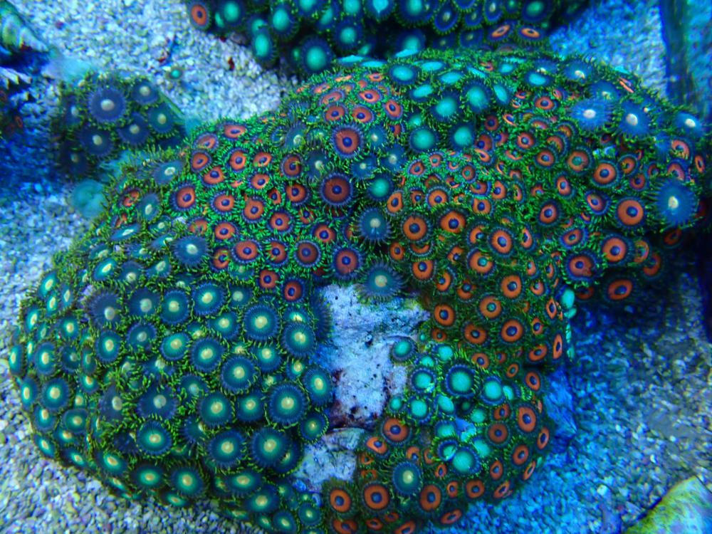292B6D0A-53BF-4022-A687-2C4950161659.jpeg